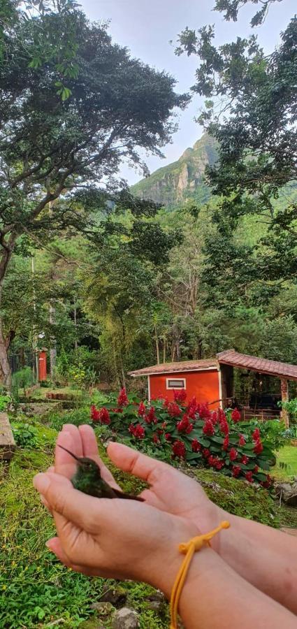 Villahermosa B&B San Carlos Extérieur photo