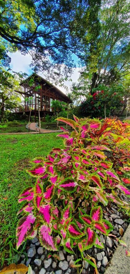 Villahermosa B&B San Carlos Extérieur photo