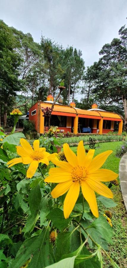 Villahermosa B&B San Carlos Extérieur photo